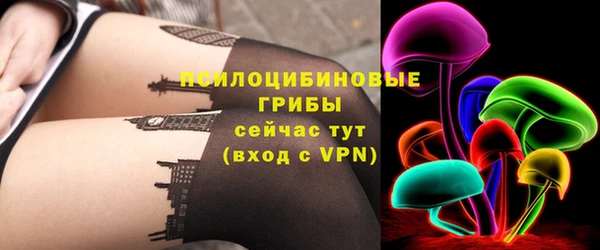 сатива Абаза