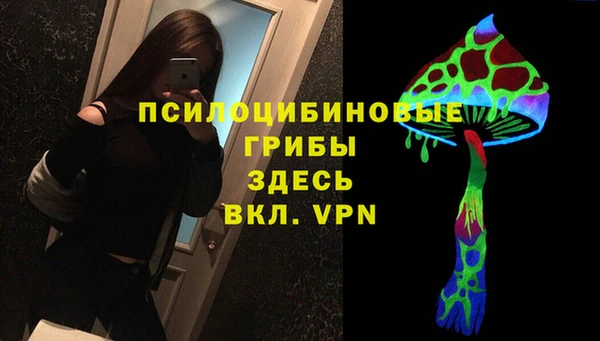 МДПВ Краснотурьинск