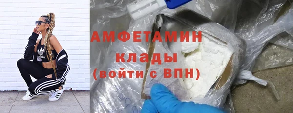 сатива Абаза